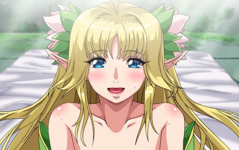 「【エルフ】異世界ファンタジーアニメで美少女たちとのハーレム展開が楽しめる人気OVA作品」のサムネイル