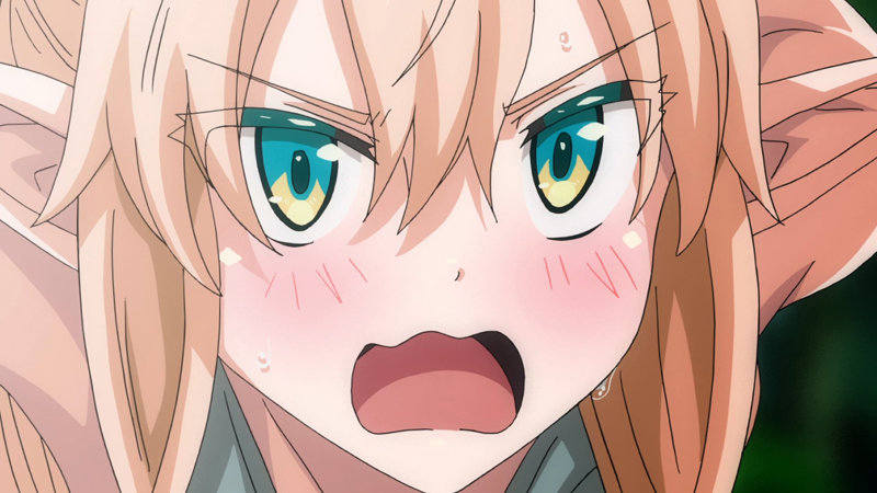 「異世界来たのでスケベスキルで全力謳歌しようと思う THE ANIMATION 第2巻|巨乳処女に中出し&フェラの濃厚プレイ」のサンプル画像3枚目