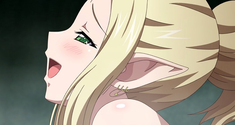 「【不明女優】清楚な姫が堕ちる辱めプレイ|黒獣シリーズの衝撃展開を徹底解説【アニメ】」のサンプル画像14枚目