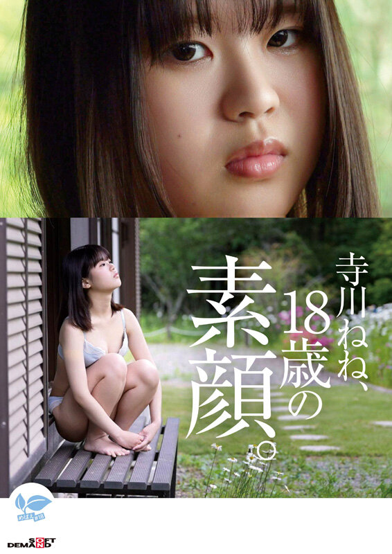 「【寺川ねね】パイパンミニ系美少女が体操着ブルマ姿で魅せる18歳AVデビュー作品」のサンプル画像8枚目